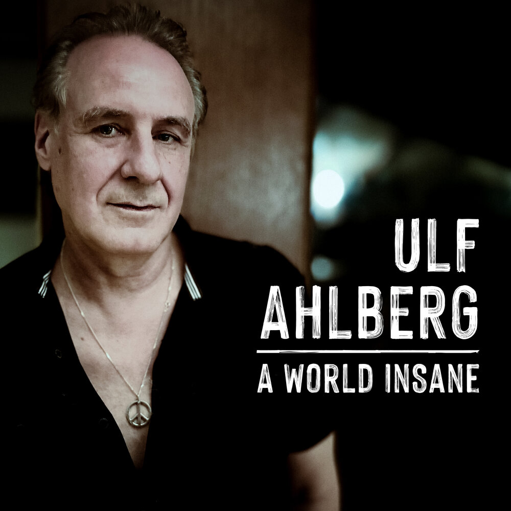 A World In Sane — album cover